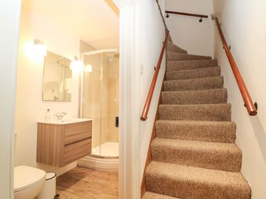 A carpeted staircase with handrails next to a bathroom with a shower and wooden vanity at Dolphin House in Burford