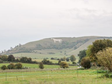 A hillside with a chalk horse figure carved into the slope and fields with fencing in the foreground at Tilly's Cottage in Edington