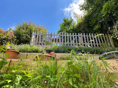 A garden with potted plants and flowers in front of a wooden fence and green trees at Tillys Cottage in Edington