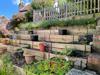 A multi-level garden with wooden retaining walls and various potted plants at Tillys Cottage in Edington