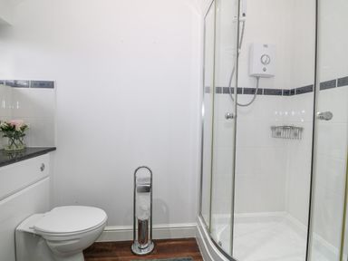 A bathroom with a toilet shower enclosure and a flower vase on the counter at 8 Marina View in Pwllheli