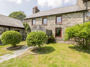 A stone cottage with three windows and two shrubs in the garden at Bwthyn Pennant in Porthmadog