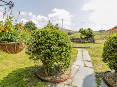 A garden path with round trimmed bushes and a hanging basket of flowers at Bwthyn Pennant in Porthmadog