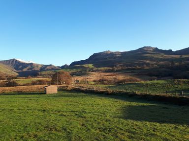 A grassy field with a small wooden shed and mountains in the background at Bwthyn Pennant in Porthmadog