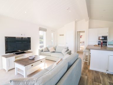 A living room with two sofas a coffee table a television and a kitchen area at Beech Lodge in Teigngrace near Newton Abbot