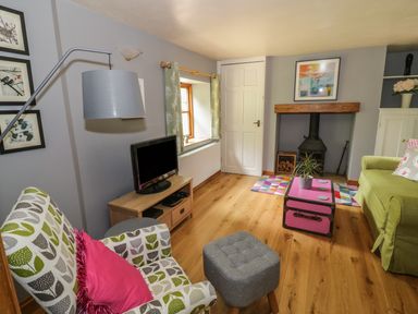 A living room with patterned armchair green sofa and television at Cottage on the Common in Westbury-on-Severn