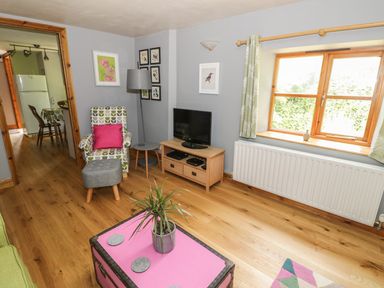 A living room with an armchair table and television near a window at Cottage on the Common in Westbury-on-Severn