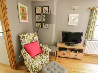 A living room corner with a patterned armchair and pink cushion a floor lamp small round table a TV on a wooden stand and framed bird pictures on the wall at Cottage on the Common in Westbury-on-Severn