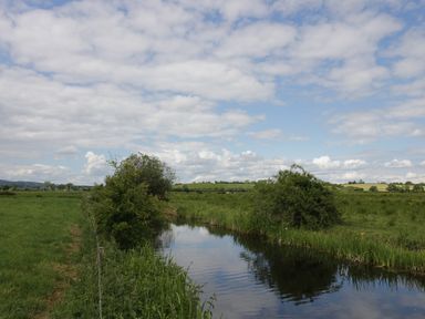 A river with bushes on the banks in a field under a cloudy sky at Cottage on the Common in Westbury-on-Severn