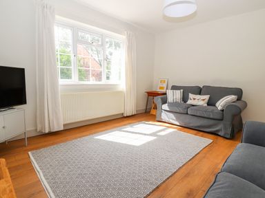 A living room with a gray sofa a patterned rug and a television on a stand at Well House Farm Flat 1 in Bretton