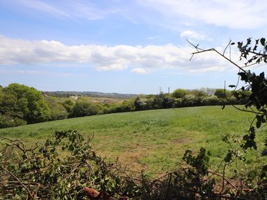 A grassy field with trees and bushes under a blue sky at Be Our Guest Cottage in Chacewater near Truro