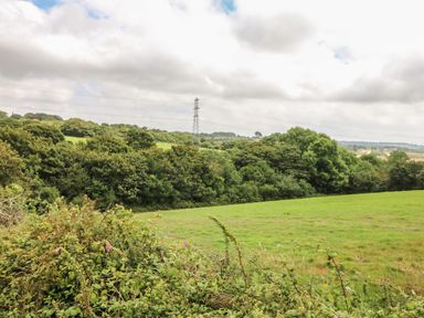 A green field with bushes and trees under a cloudy sky at Be Our Guest Cottage in Chacewater near Truro