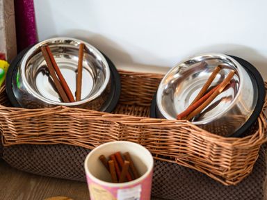 Two metal pet bowls with cinnamon sticks in a wicker holder at Be Our Guest Cottage in Chacewater near Truro