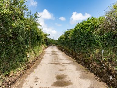 A narrow country road lined with dense green hedges on both sides at Be Our Guest Cottage in Chacewater near Truro