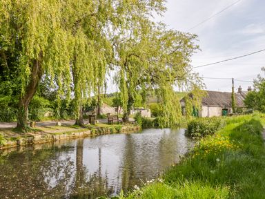 A small pond with trees and a bench along the edge near stone buildings at Duck Cottage in Sutton Poyntz