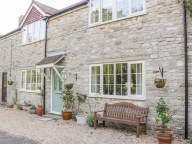 The exterior of a stone house with windows a green door a wooden bench and various potted plants at Duck Cottage in Sutton Poyntz