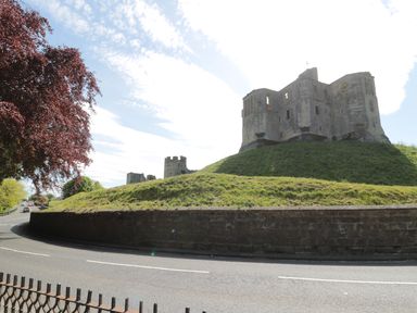 A stone castle on a grassy hill beside a curved road with a tree on the left