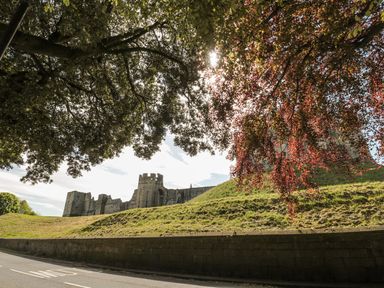 A castle on a grassy hill with trees overhead and a stone wall by the road at Coquet View Apartment in Warkworth