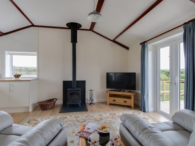 A living room with a wood stove television two sofas a coffee table with cookies and mugs and glass doors with curtains at Village View in Burton Bradstock