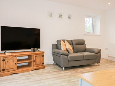 A living room with a grey sofa and a wooden TV stand with a television at Lily Cottage in Camelford