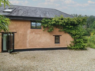 A gravel area outside a house with two windows and a door with greenery growing along the wall at Bantam Cottage in Little Woodford near Ottery St Mary