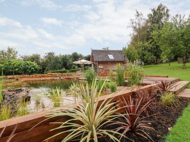 A garden with a pond surrounded by plants a wooden deck and a small wooden building at Tickmorend Farm in Nailsworth
