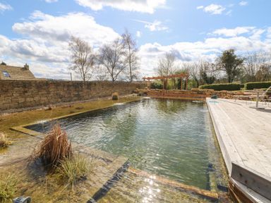 An outdoor natural swimming pool with plants in water and wooden deck at Tickmorend Farm in Nailsworth