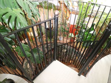 A spiral staircase with black railing surrounded by various potted plants at Tickmorend Farm in Nailsworth