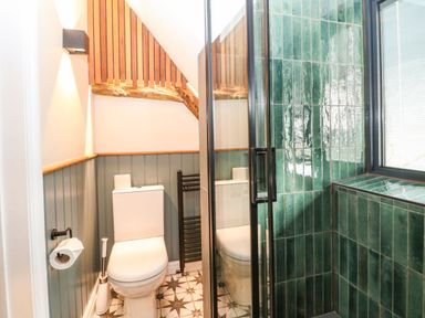 A bathroom with a toilet a toilet paper holder a brush a black towel rack and a glass shower enclosure with green tiles at Tickmorend Farm in Nailsworth