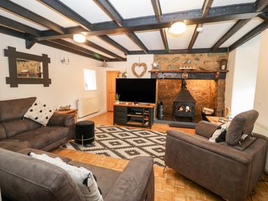 A living room with brown sofas a wood stove and a television at Buarthau Cottage in Llanrug