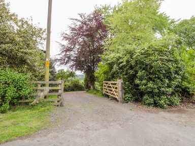 A dirt driveway between wooden gates surrounded by trees and bushes at Coal Drops in Alnwick