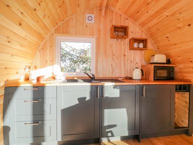 A kitchen with gray cabinets a window a sink a kettle a microwave and wooden walls at Chapel Pod in Callington