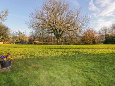 A garden with grass and a large leafless tree in the center at Chapel Pod in Callington