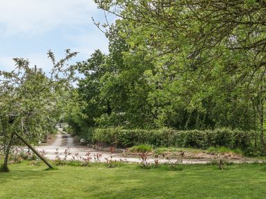 A garden with grass trees and a dirt path at Chapel Pod in Callington