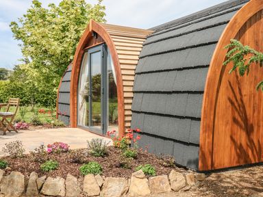 An outdoor wooden pod structure with arched glass doors and a garden with flowers and plants at Chapel Pod in Callington