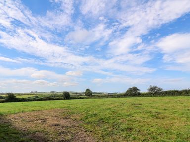 A grassy field with scattered trees under a blue sky with clouds at The Old Cows House in Helston