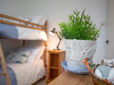 A bedroom with a bunk bed a nightstand with a lamp and a potted plant on a wooden surface at Allt y Mor in Harlech