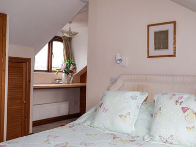 A bedroom with a bed featuring butterfly print bedding and a window with flowers on a shelf at Barras Cottage Brynsiencyn