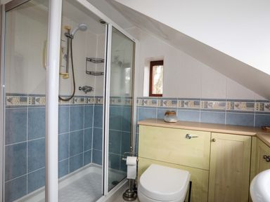 A bathroom with a shower enclosure a toilet and wooden cabinets at Barras Cottage in Brynsiencyn