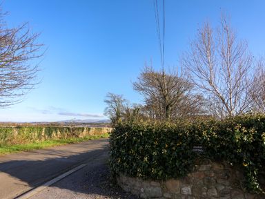 A road with hedges and trees alongside under a clear sky at Barras Cottage in Brynsiencyn