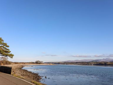 A shoreline with a stone wall and trees by a body of water under a clear sky at Barras Cottage in Brynsiencyn
