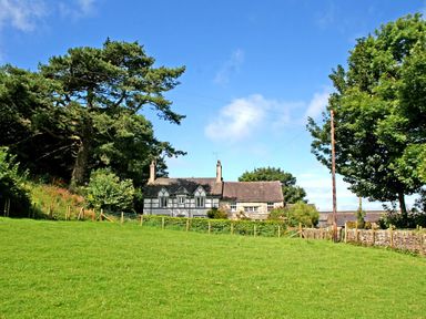 A cottage surrounded by trees and a green field at Foel Stable Cottage in Brynsiencyn