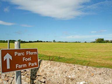 A rural landscape with green fields and a stone wall with a farm park sign at Foel Stable Cottage in Brynsiencyn
