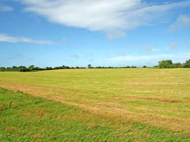 A large open field with grass and trees in the distance under a blue sky at Foel Stable Cottage in Brynsiencyn