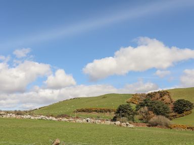 A green grassy hillside with scattered sheep under a blue sky with clouds at Bryn Deryn in Criccieth