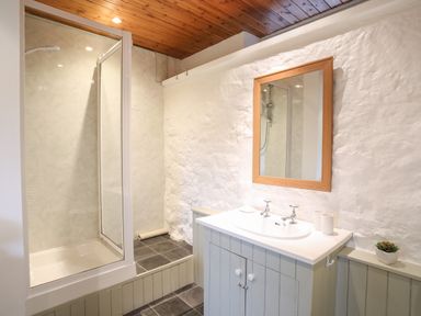 A bathroom with a shower enclosure a sink with dual taps a wooden framed mirror and a potted plant at Bryn Eira Stables in Llanfair PG