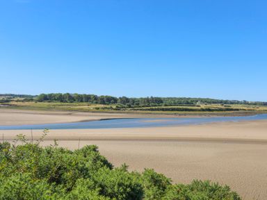 A sandy riverbank with green bushes and trees under a blue sky at Bwthyn Glanrhyd in Llanfair yn Neubwll
