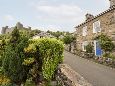 A stone house with a blue door along a narrow road with bushes and a castle in the background at Bron Castell in Harlech