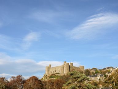 A stone castle on a hill surrounded by trees and houses at Bron Castell in Harlech