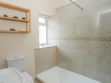 A bathroom with a toilet a sink a walk in shower with tiled walls and a wooden shelf on the wall at Bryn Dale in Trearddur Bay